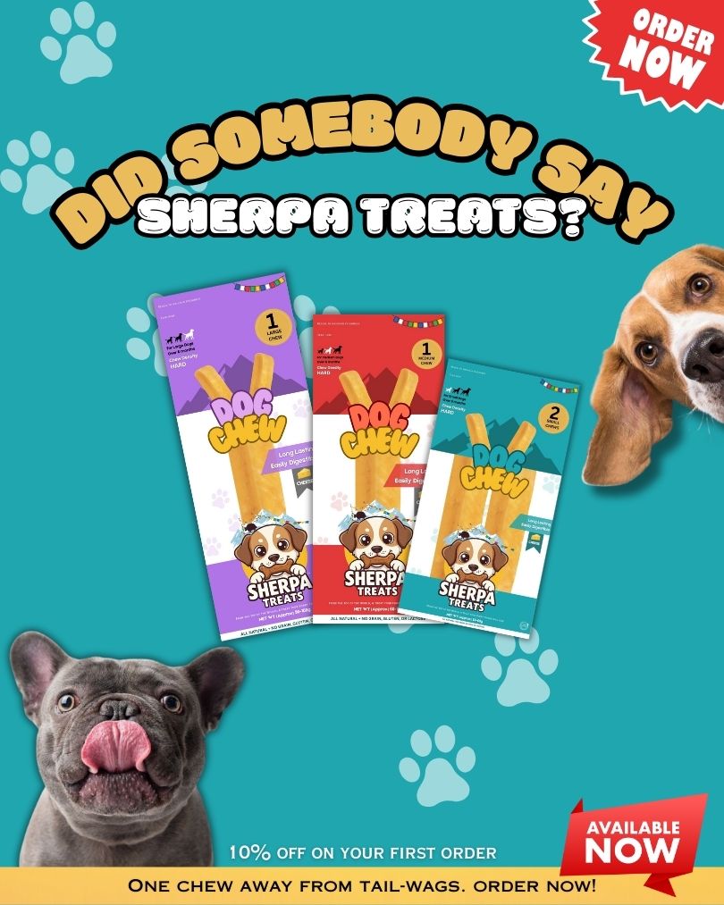 Sherpa Treats - Sherpa Dog Chew 100% 2 Natural Cheese Stick Approx 30 Gram Each